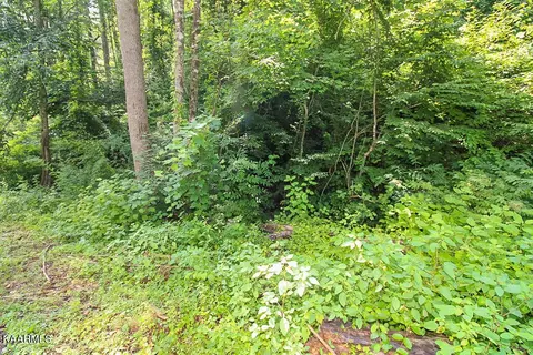 538 Deep Hollow Road, Gatlinburg, TN 37738