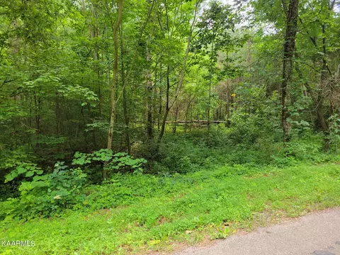 587 Ballplay School Road Rd, Tellico Plains, TN 37385