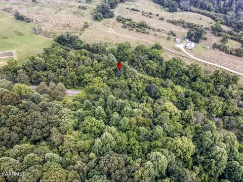 Gravely Valley Rd, Eidson, TN 37731 photo 9