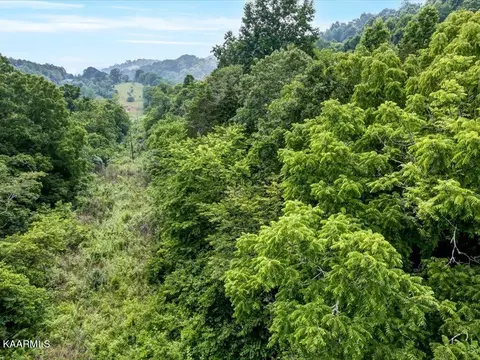 Gravely Valley Rd, Eidson, TN 37731 photo 11