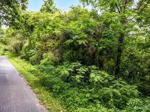 Gravely Valley Rd, Eidson, TN 37731 photo 4