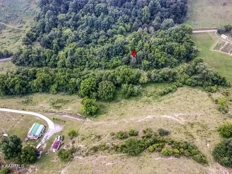 Gravely Valley Rd, Eidson, TN 37731 photo 5