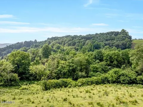 Gravely Valley Rd, Eidson, TN 37731 photo 13