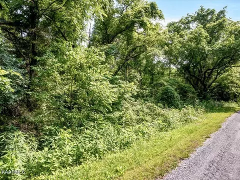 Gravely Valley Rd, Eidson, TN 37731 photo 33