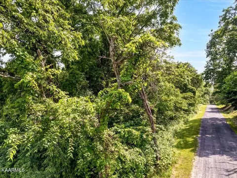 Gravely Valley Rd, Eidson, TN 37731 photo 24