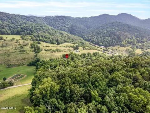 Gravely Valley Rd, Eidson, TN 37731 photo 17