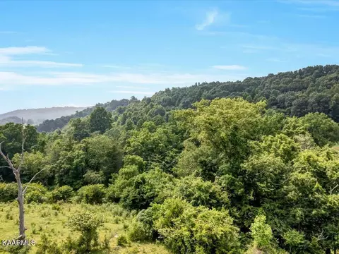 Gravely Valley Rd, Eidson, TN 37731 photo 12