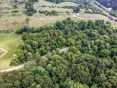 Gravely Valley Rd, Eidson, TN 37731 photo 10