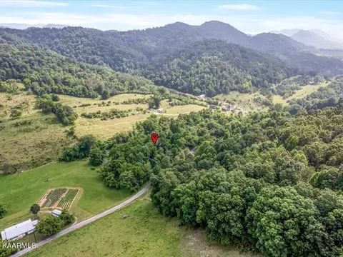 Gravely Valley Rd, Eidson, TN 37731 photo 16
