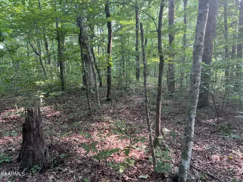 2271 Chapel Dr, Crawford, TN 38554