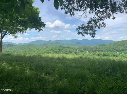 Tbd Wolf Creek Rd, Del Rio, TN 37727