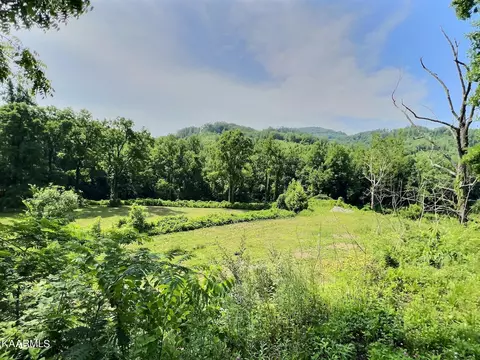 Stoney Fork Rd, Caryville, TN 37714