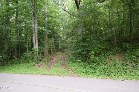Patton Ln. & Old Patton Ln., Rockwood, TN 37854