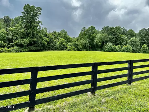 Dogwood Cove Drive, Spring City, TN 37381