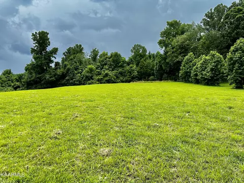 Dogwood Cove Drive, Spring City, TN 37381
