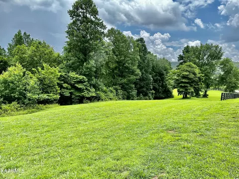 Dogwood Cove Drive, Spring City, TN 37381
