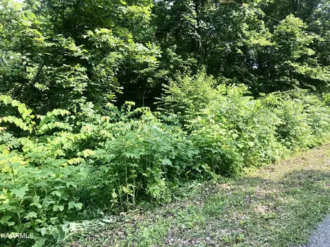 Pine Hollow Rd, Jacksboro, TN 37757