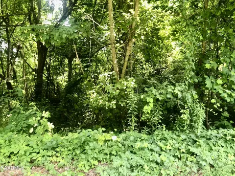 Opal St, Tazewell, TN 37879