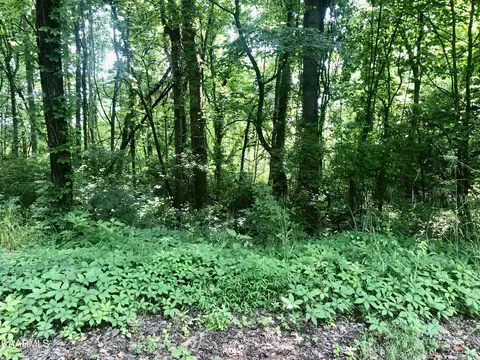 Opal St, Tazewell, TN 37879