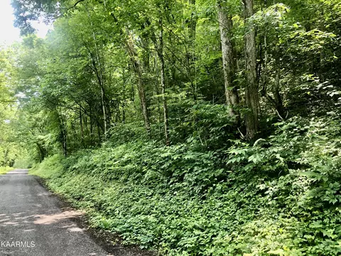 Pawpaw Rd, Thorn Hill, TN 37881