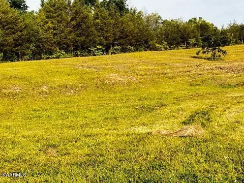 Lonesome Pine Rd, Bybee, TN 37713