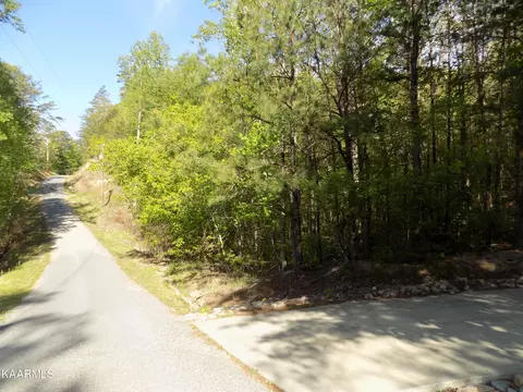 lot10 Cove Hollow Rd, Cosby, TN 37722