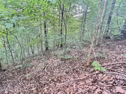 Mariner Point Rd, La Follette, TN 37766