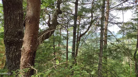 Riverview Lane, Tellico Plains, TN 37385