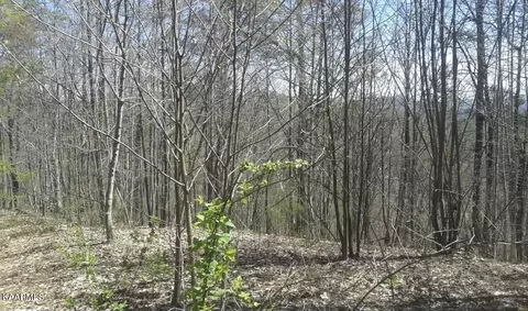 Little Cove Rd, Sevierville, TN 37862
