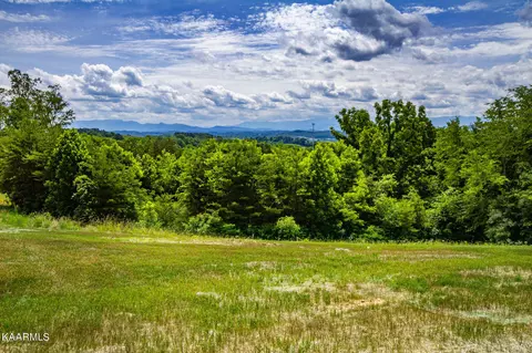 Sandpiper Court, Kodak, TN 37764