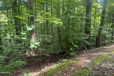 Skyline Drive, Clinton, TN 37716