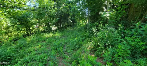 980 Dr Thomas Walker Rd, Ewing, VA 24248