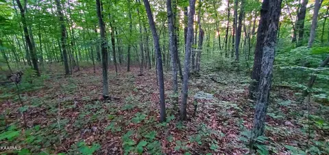 W Laurel Way, Monterey, TN 38574
