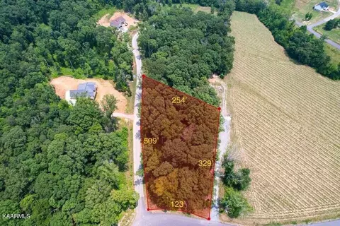 7 Douglas Dam Road, Dandridge, TN 37725