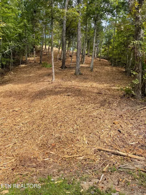 Lot 85 Stone Bridge Drive, Dandridge, TN 37725