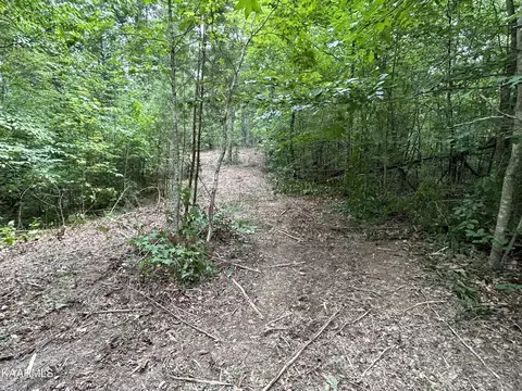 Hinds Creek Rd, Heiskell, TN 37754 photo 12