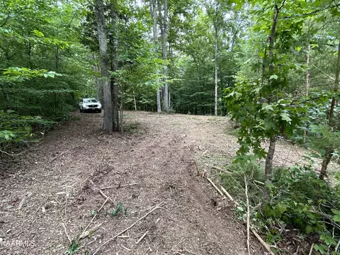 Hinds Creek Rd, Heiskell, TN 37754 photo 10