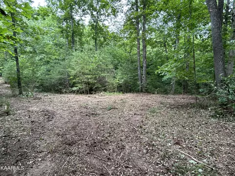 Hinds Creek Rd, Heiskell, TN 37754 photo 14