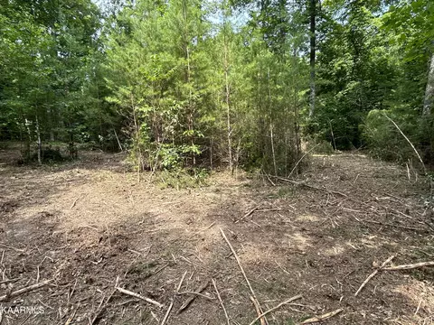Hinds Creek Rd, Heiskell, TN 37754 photo 9