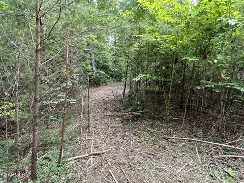 Hinds Creek Rd, Heiskell, TN 37754 photo 4