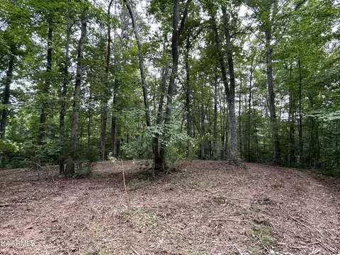 Hinds Creek Rd, Heiskell, TN 37754 photo 13