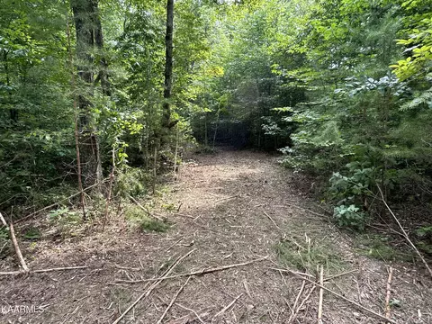 Hinds Creek Rd, Heiskell, TN 37754 photo 8