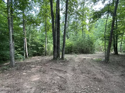 Hinds Creek Rd, Heiskell, TN 37754 photo 2