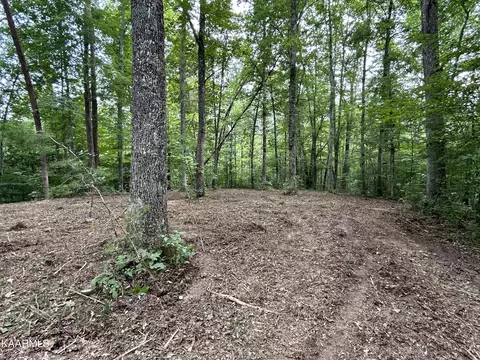 Hinds Creek Rd, Heiskell, TN 37754 photo 16