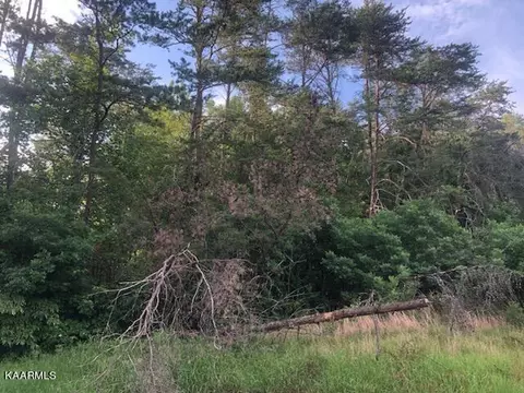 Hinds Creek Rd, Heiskell, TN 37754 photo 5