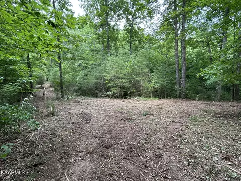 Hinds Creek Rd, Heiskell, TN 37754 photo 17