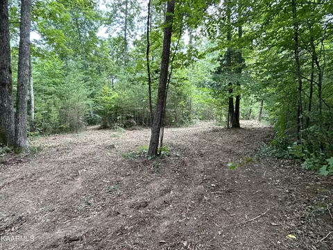 Hinds Creek Rd, Heiskell, TN 37754 photo 3
