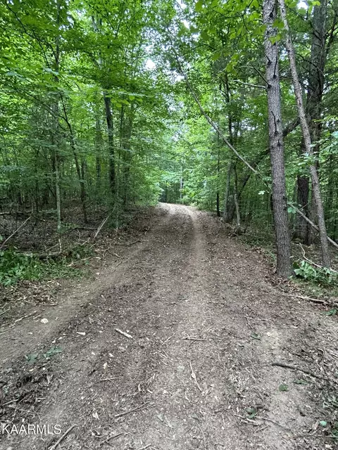 Hinds Creek Rd, Heiskell, TN 37754 photo 18