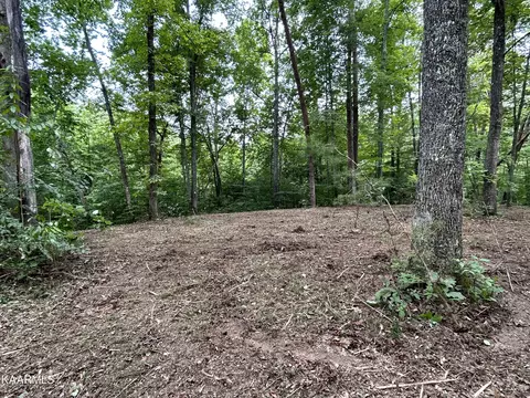 Hinds Creek Rd, Heiskell, TN 37754 photo 15