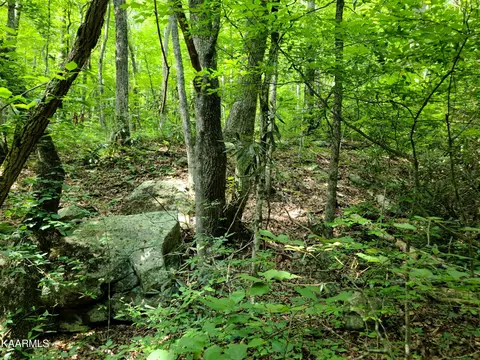 Lot 67 John Sevier Drive, Sevierville, TN 37876